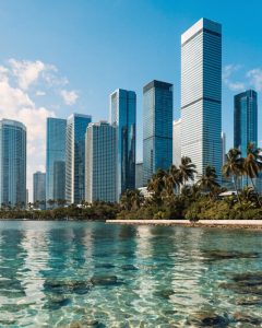 Miami waterfront skyline with palms